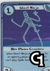 Ghost Ninja Foil